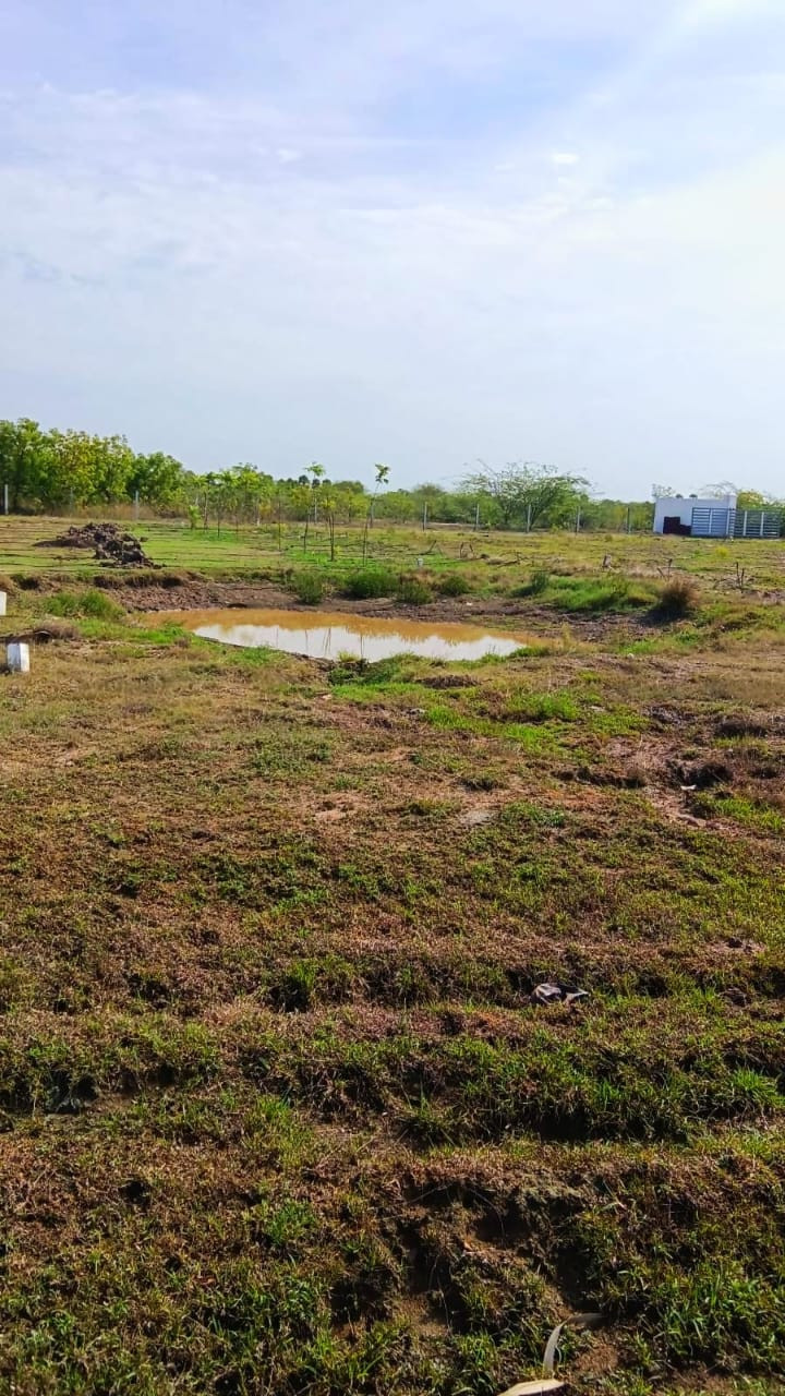 Farm land in Ongur — photo 3