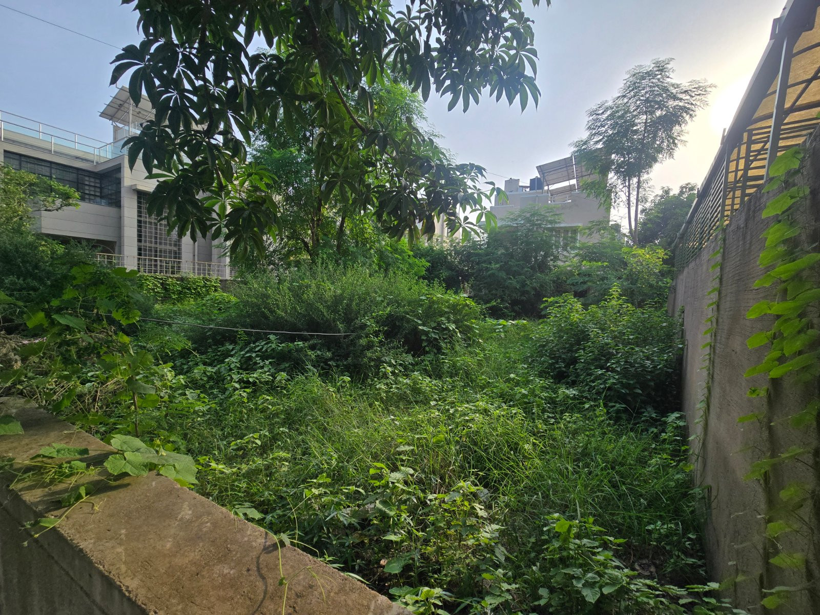 Side View