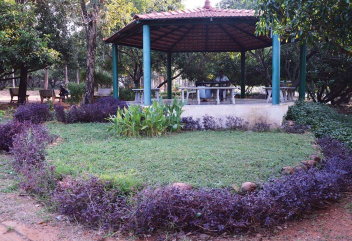 Farmhouse in Thimmaboopalapuram — photo 10