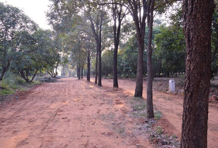 Farmhouse in Thimmaboopalapuram — photo 6