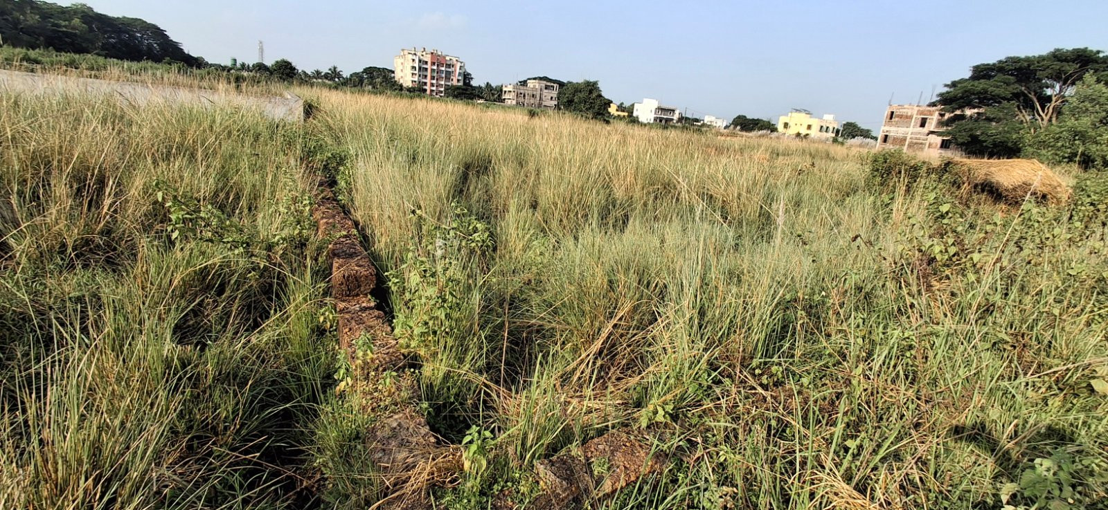 Residential plot in Gudia Pokhari — photo 4