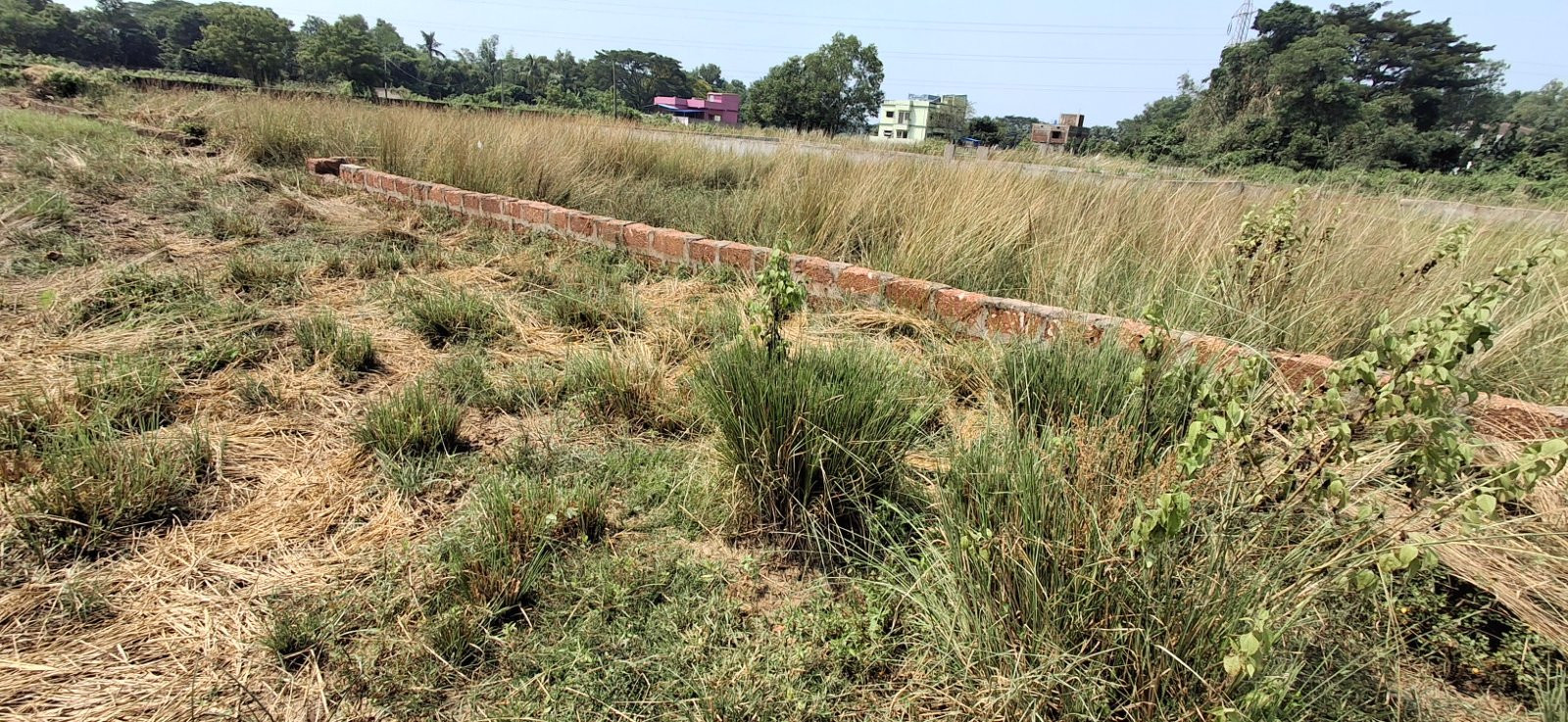 Residential plot in Gudia Pokhari — hero photo