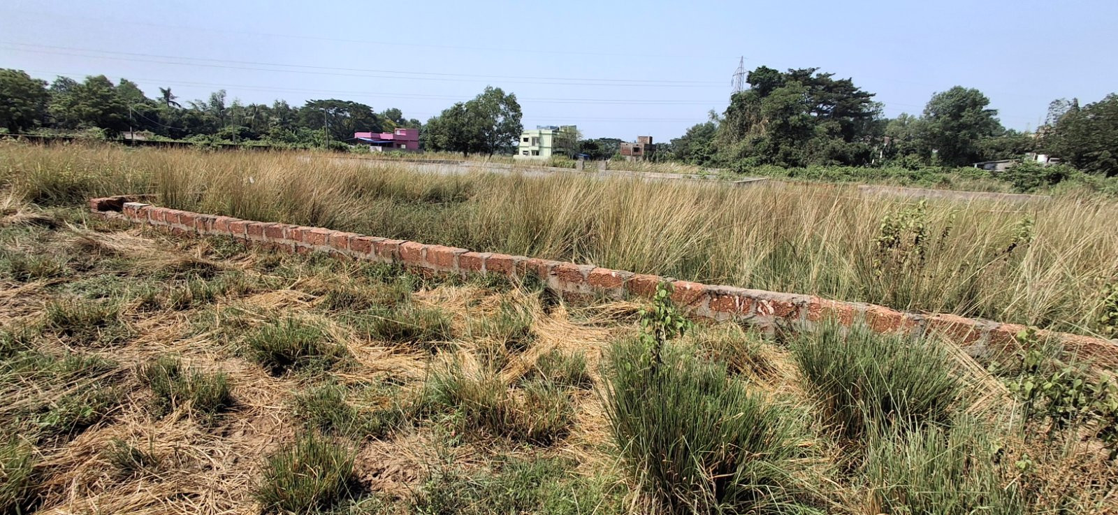 Residential plot in Gudia Pokhari — photo 3