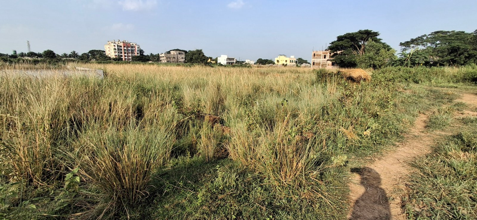 Residential plot in Gudia Pokhari — photo 6