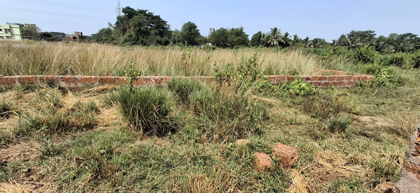 Residential plot in Gudia Pokhari — photo 2
