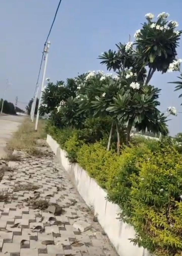 Mixed-use plot in Indore — hero photo