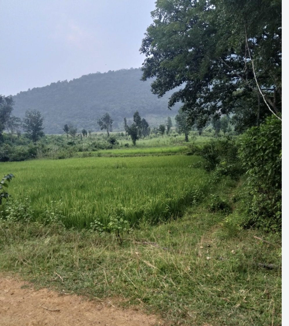 Farm land in Lalganj — hero photo