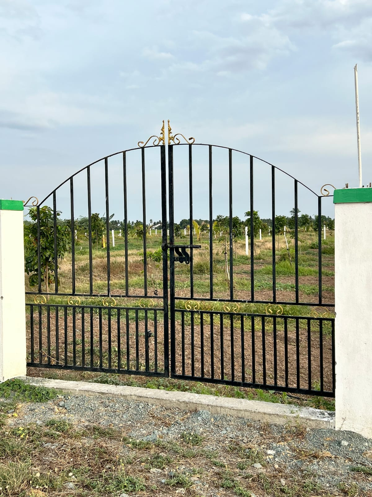 FARM LAND WITH GUEST HOUSE