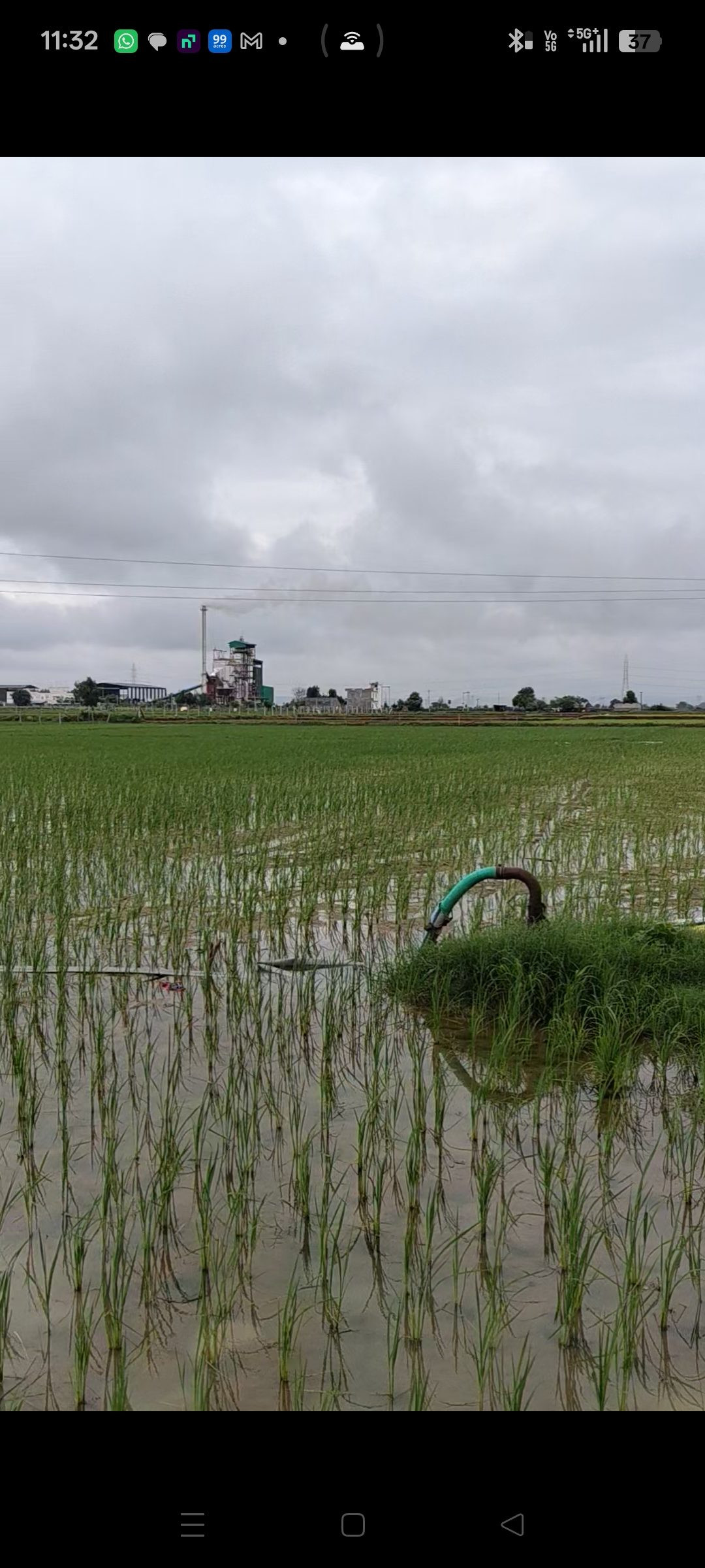 Farm land in Barundhan — hero photo
