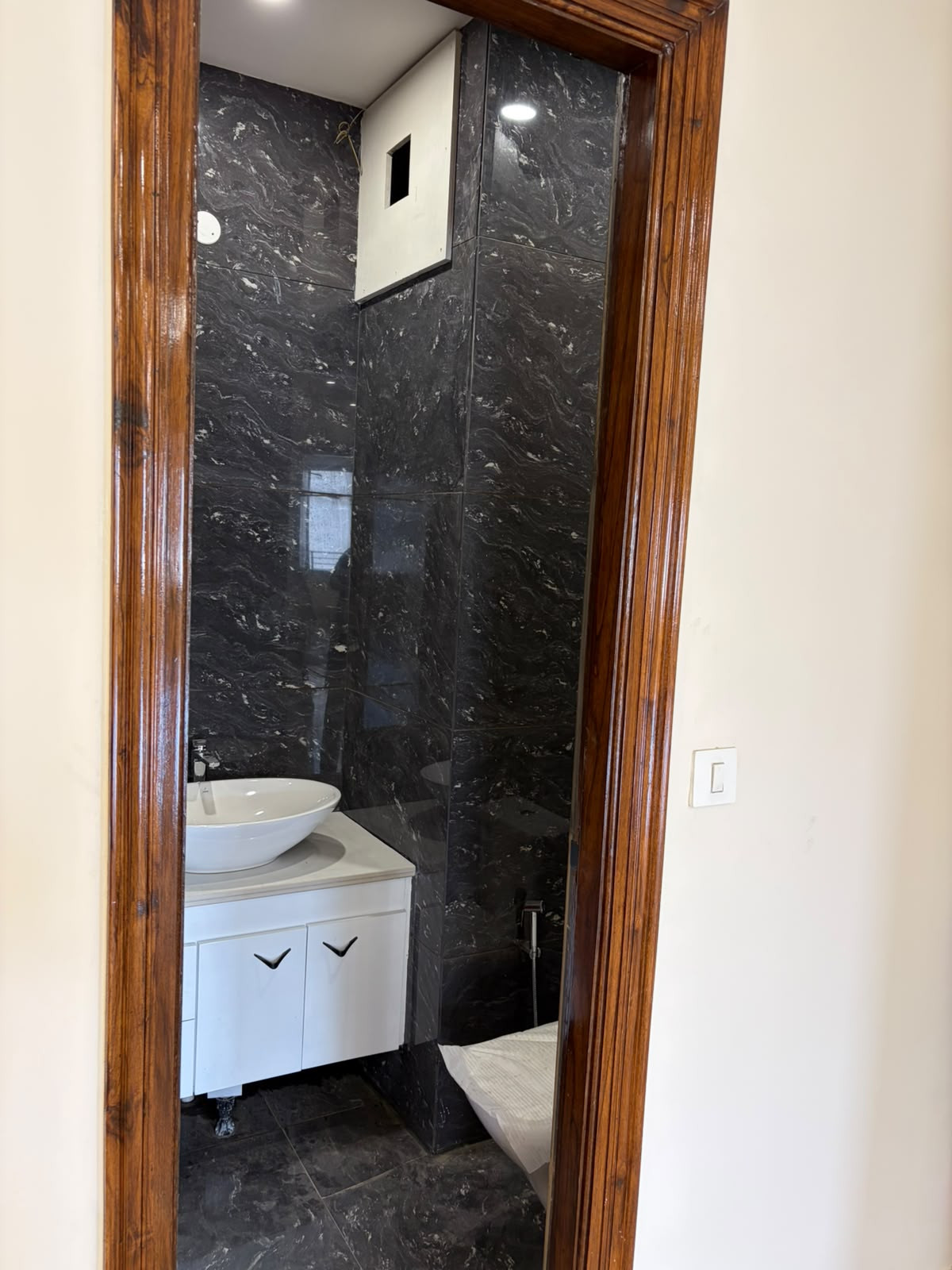 4 BHK Apartment in New Chandigarh, Chandigarh — photo 8