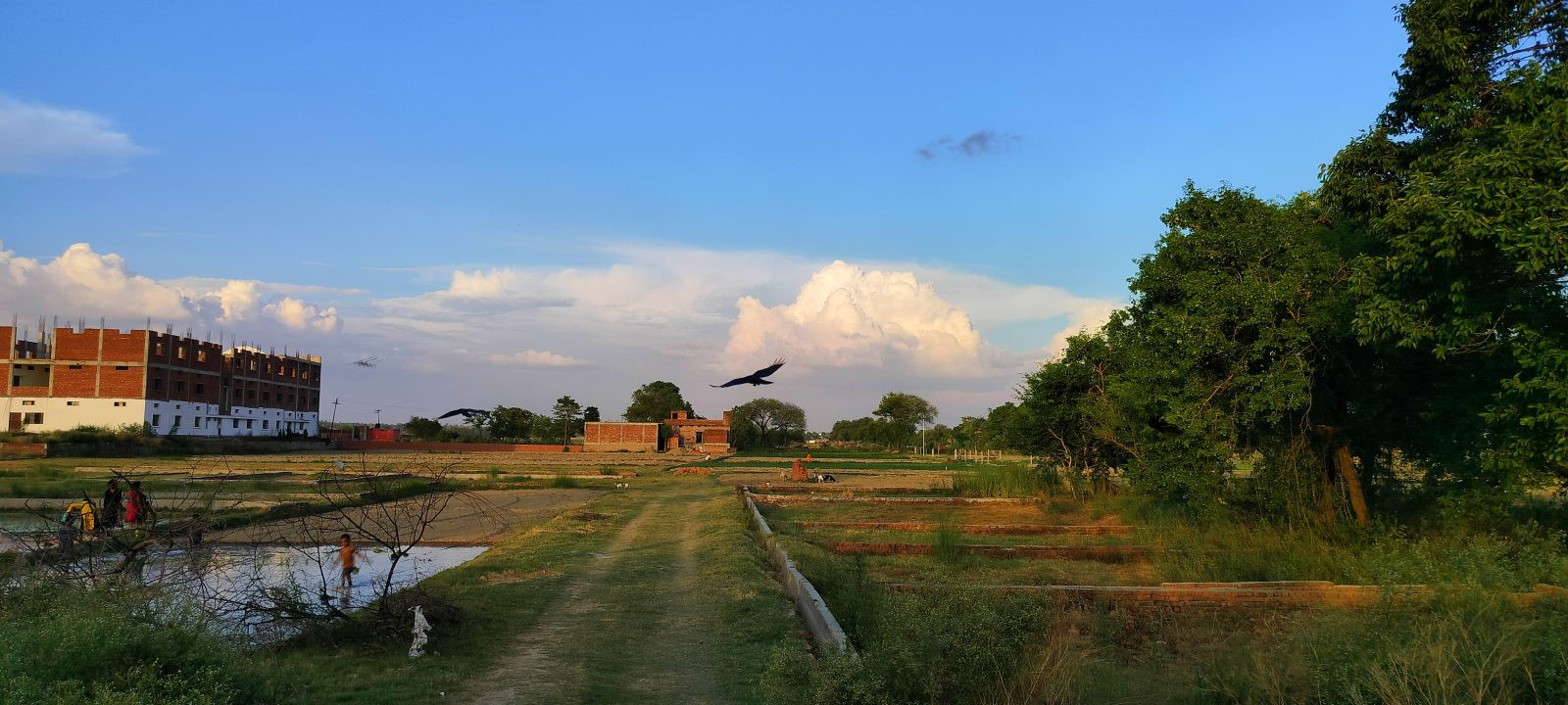 Residential plot in Tal Kandala — hero photo