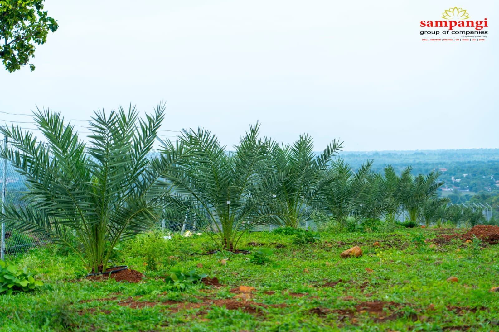 Farm land in Jukkal — photo 2