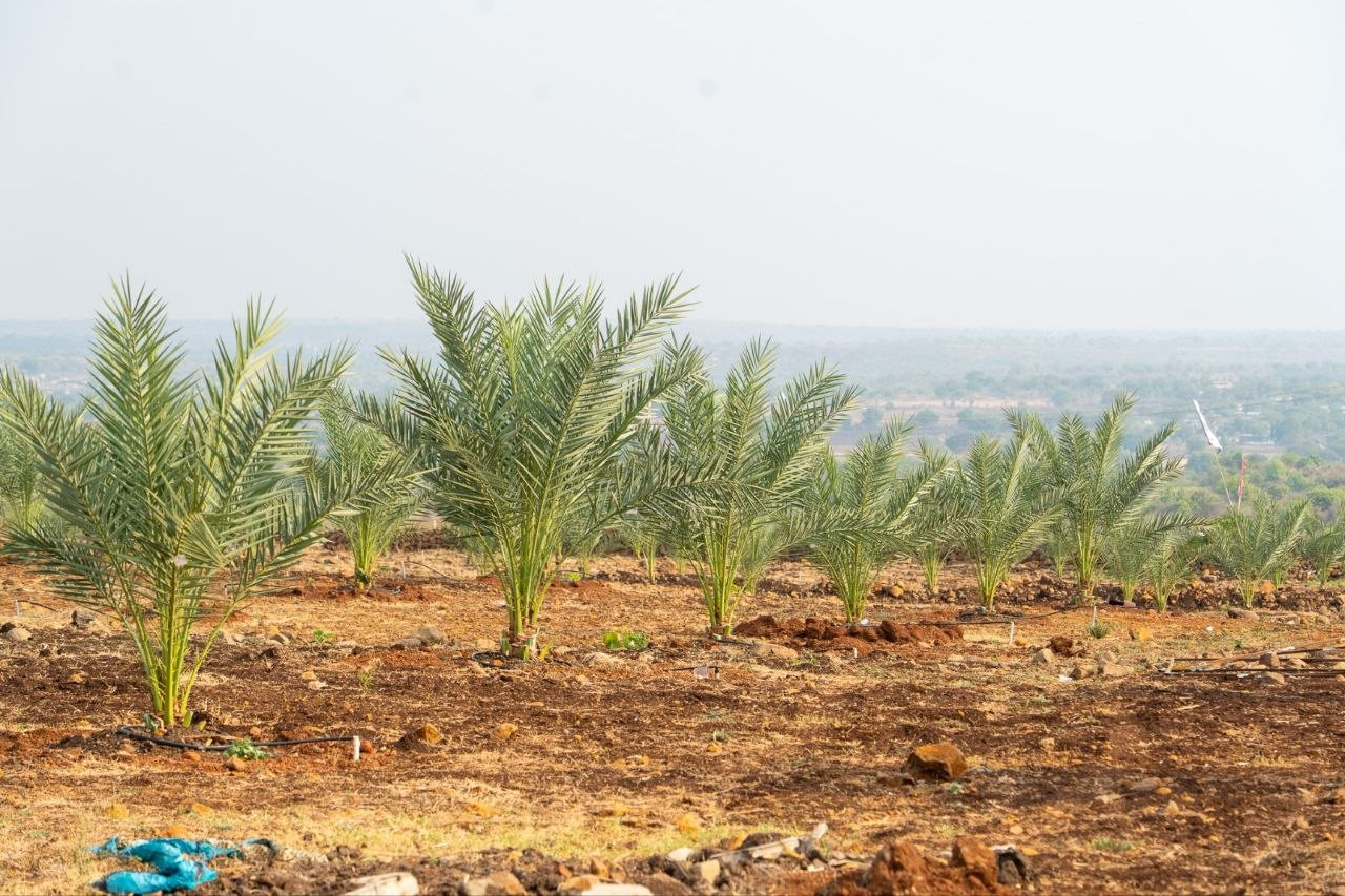 Farm land in Jukkal — photo 5