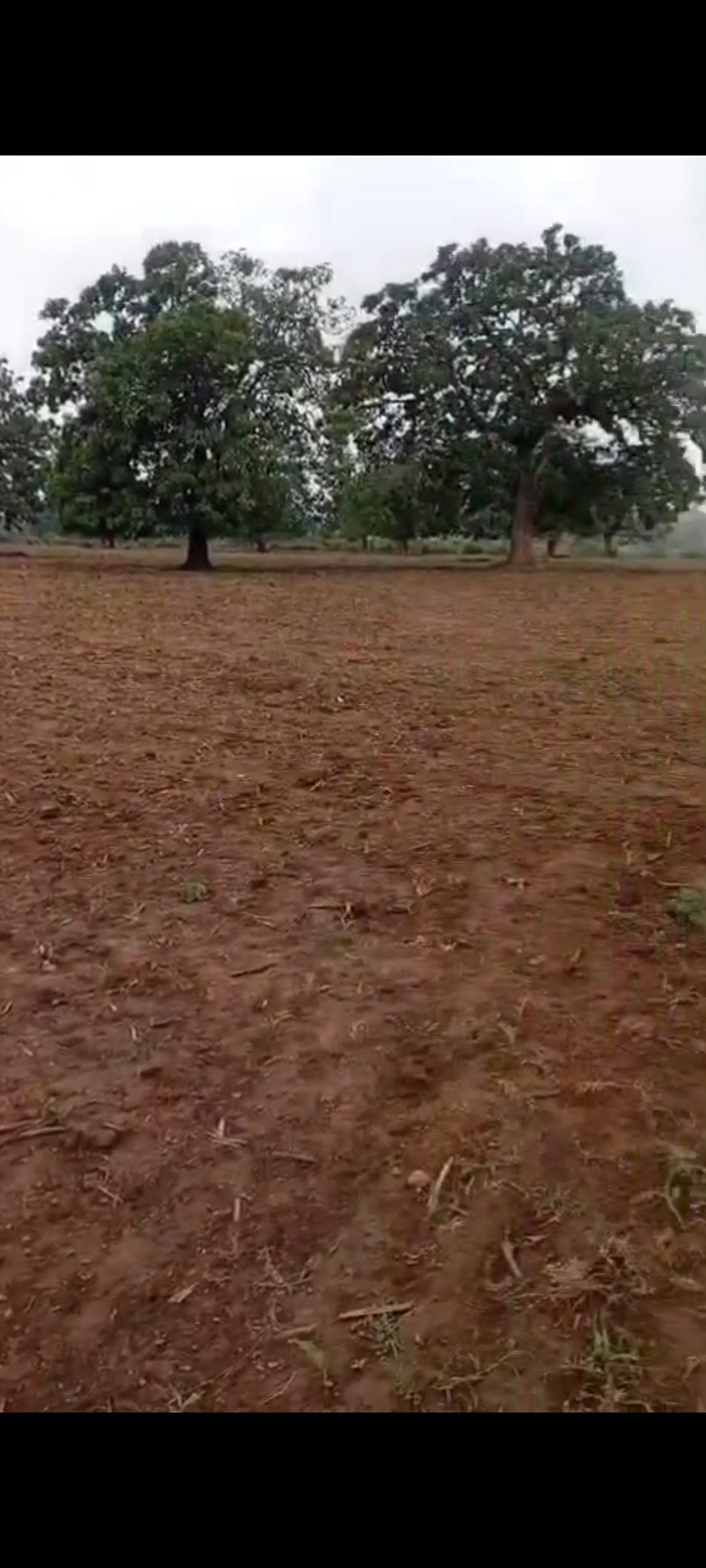 Farmhouse in Nabarangpur — hero photo