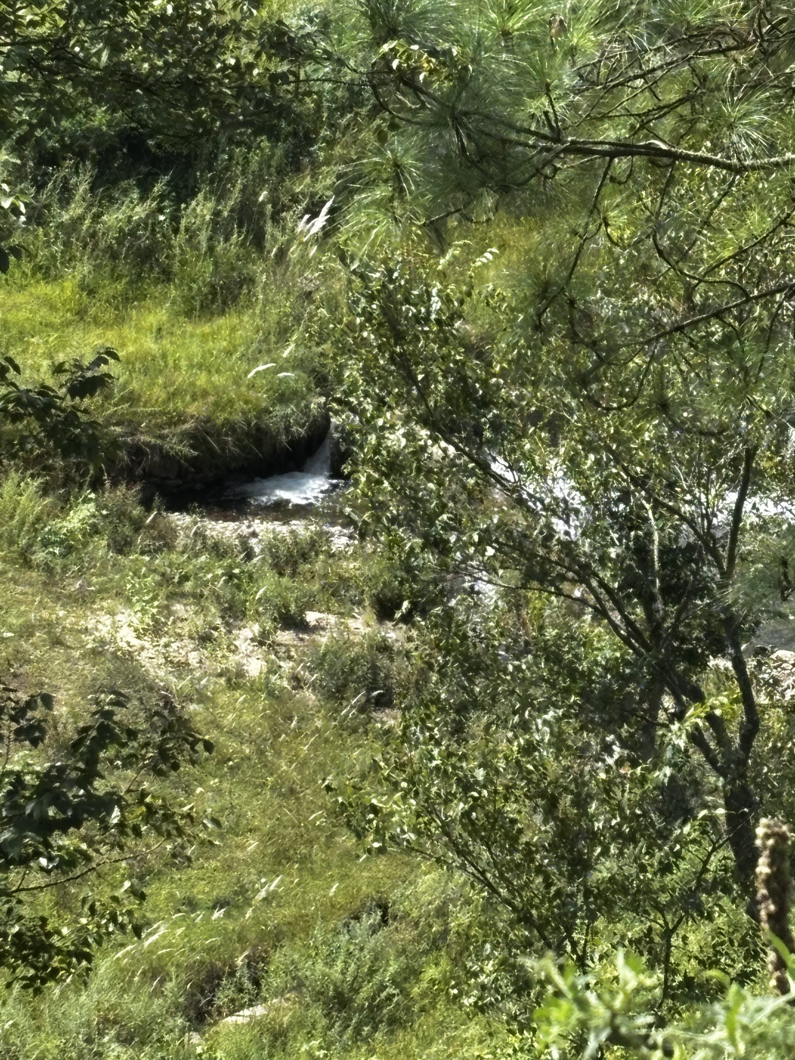 Residential plot in Jageshwar Dham — photo 3