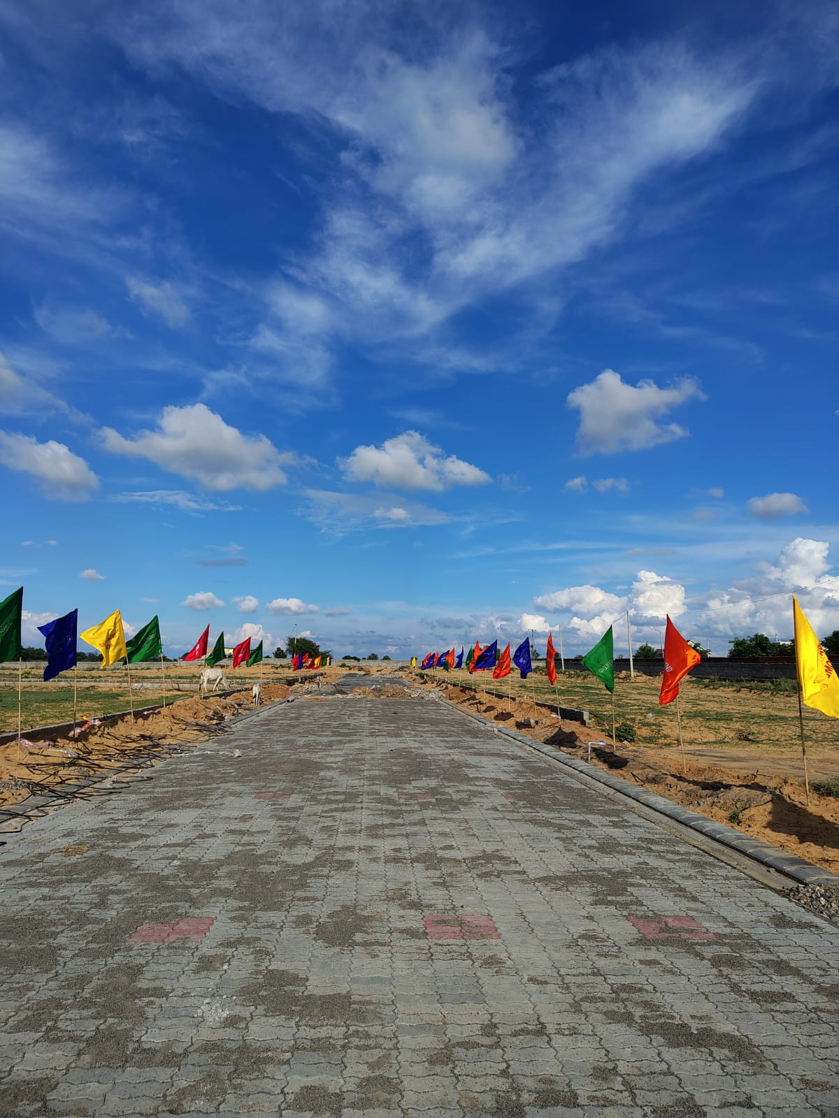 Farm land in Chaksu — photo 4
