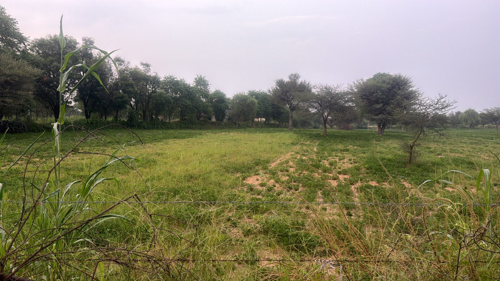 Residential plot in Gogawas — hero photo