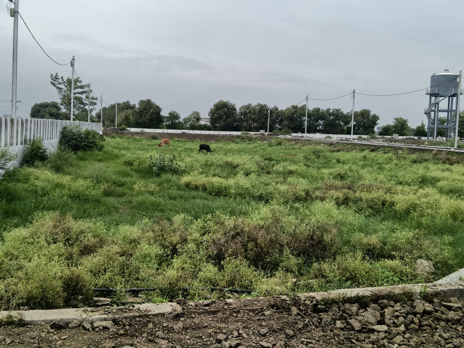 Residential plot in Indore GPO, Indore — hero photo