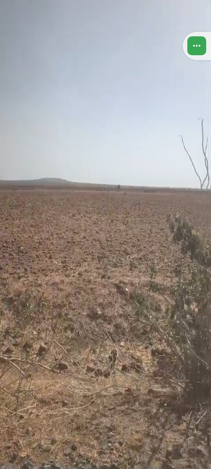 Farm land in Manohar Thana — hero photo