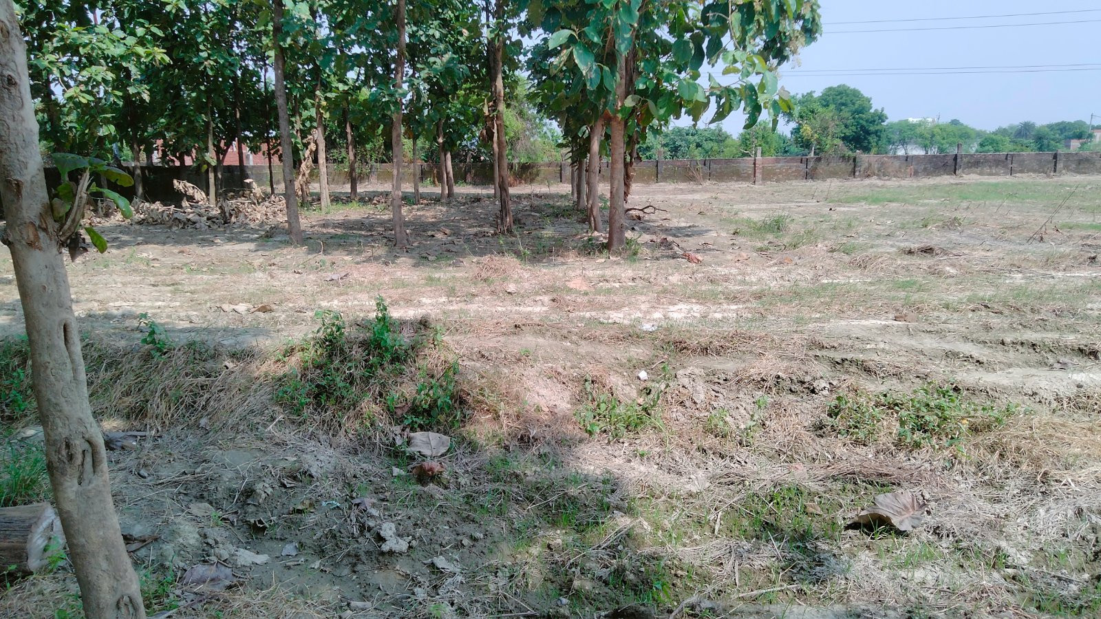 Residential plot in Lucknow, Lucknow Division — photo 4