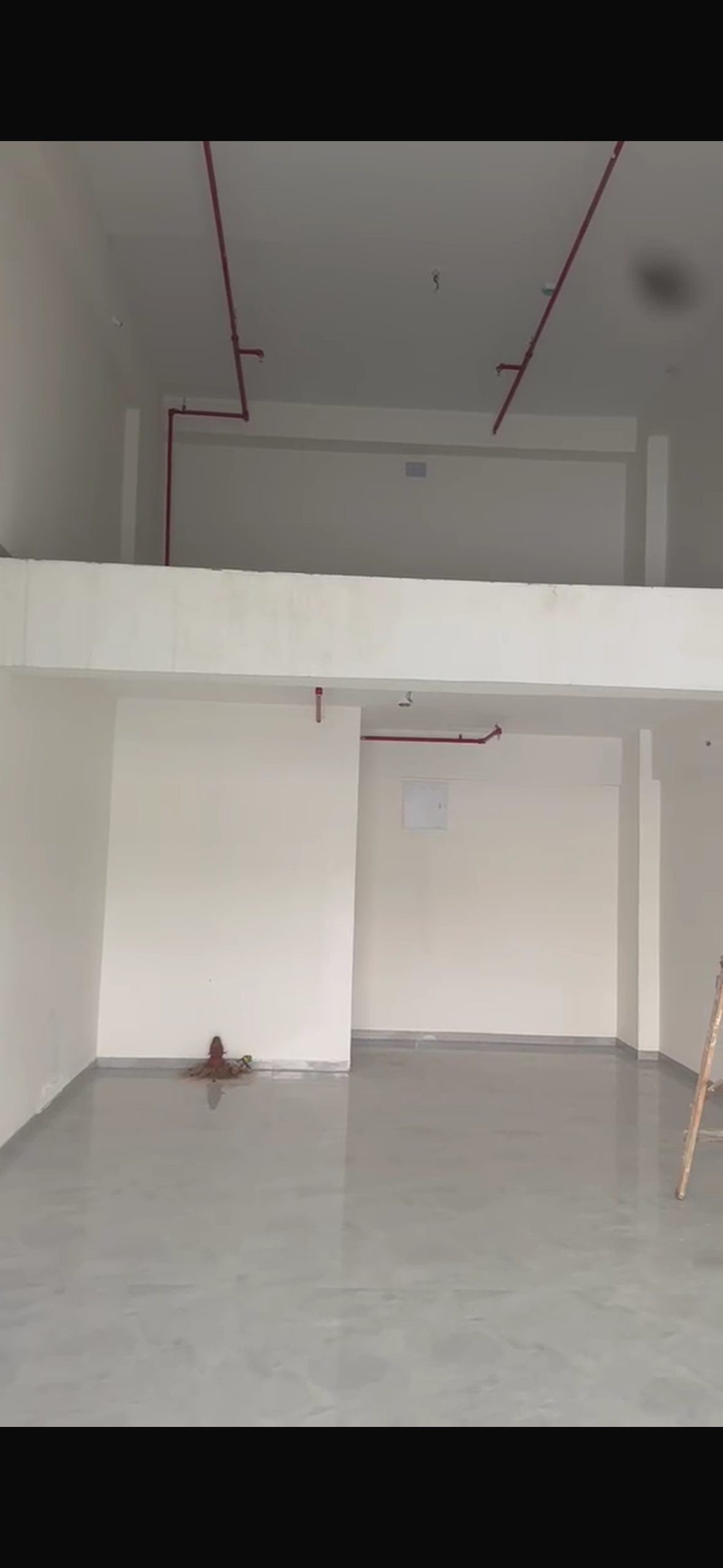 Shop / Retail in NIBM, Pune — hero photo
