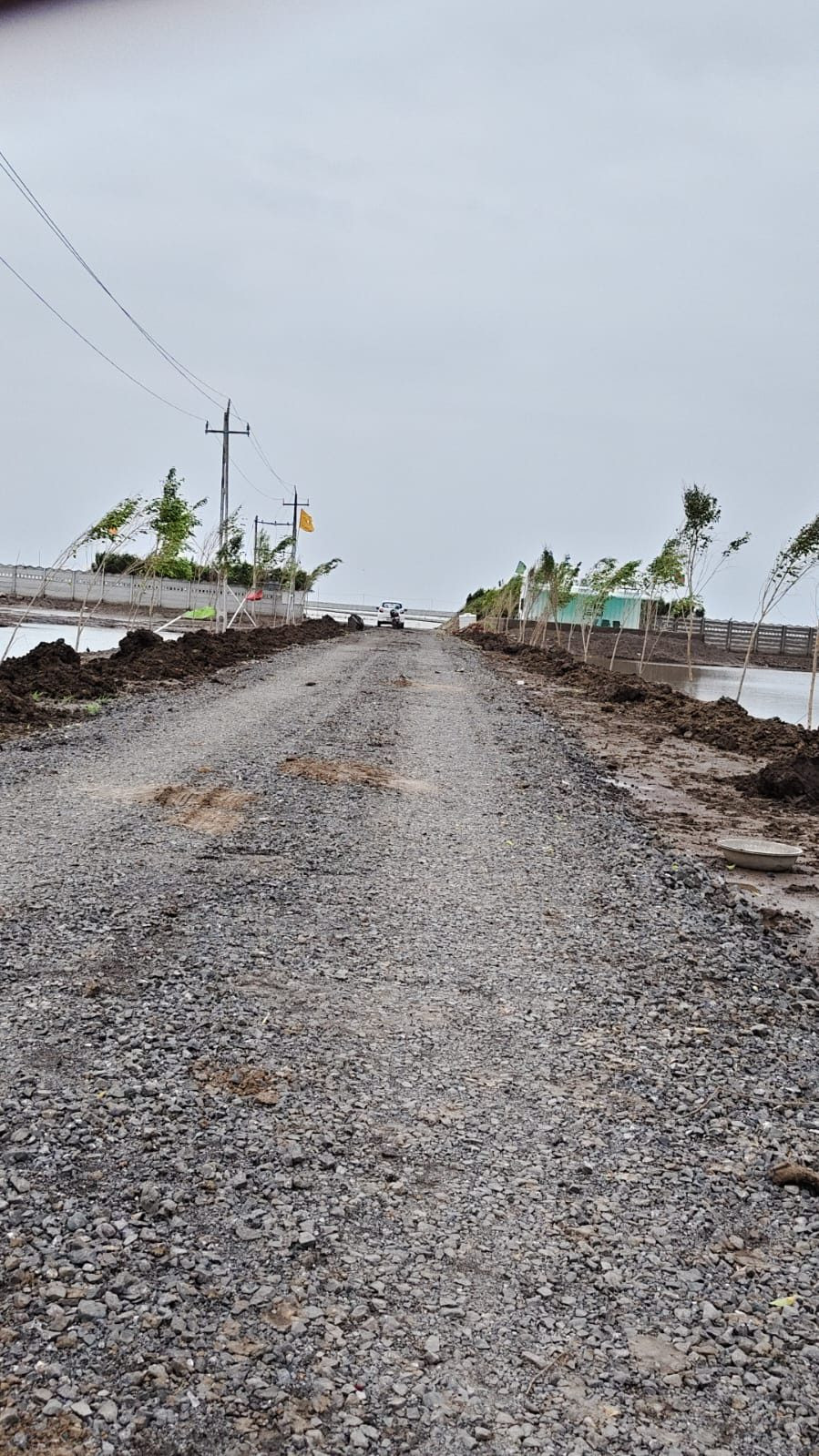 Residential plot for sale in Dholera