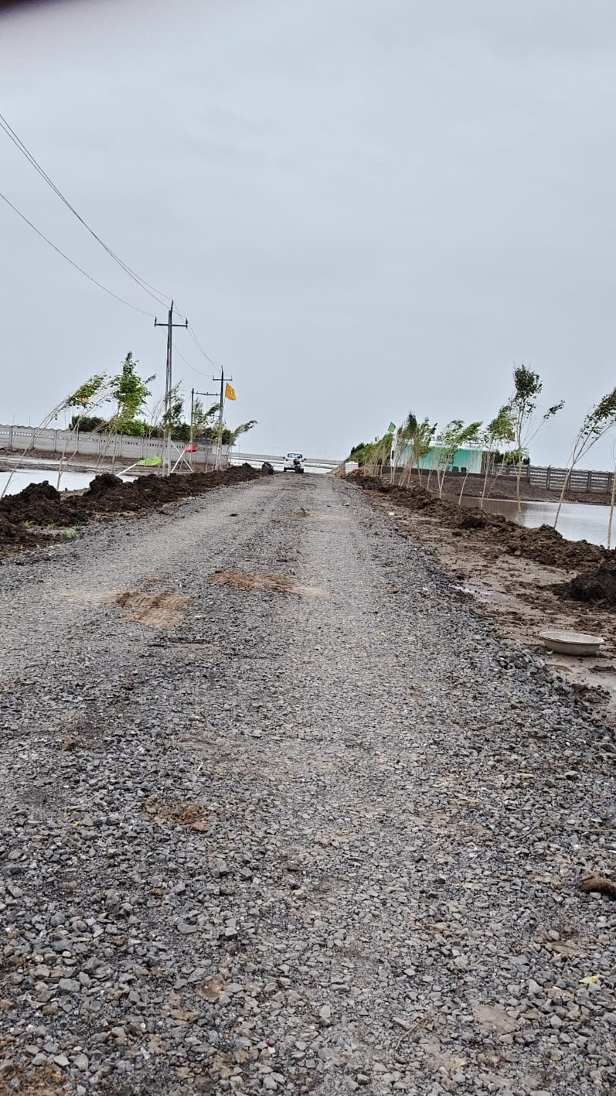 Residential plot in Dholera — photo 2