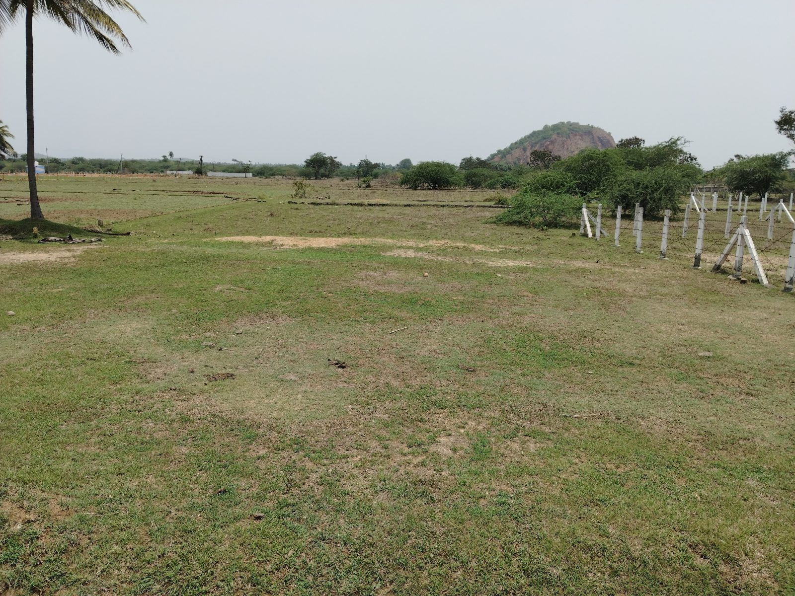 Commercial plot in Bhogapuram — hero photo