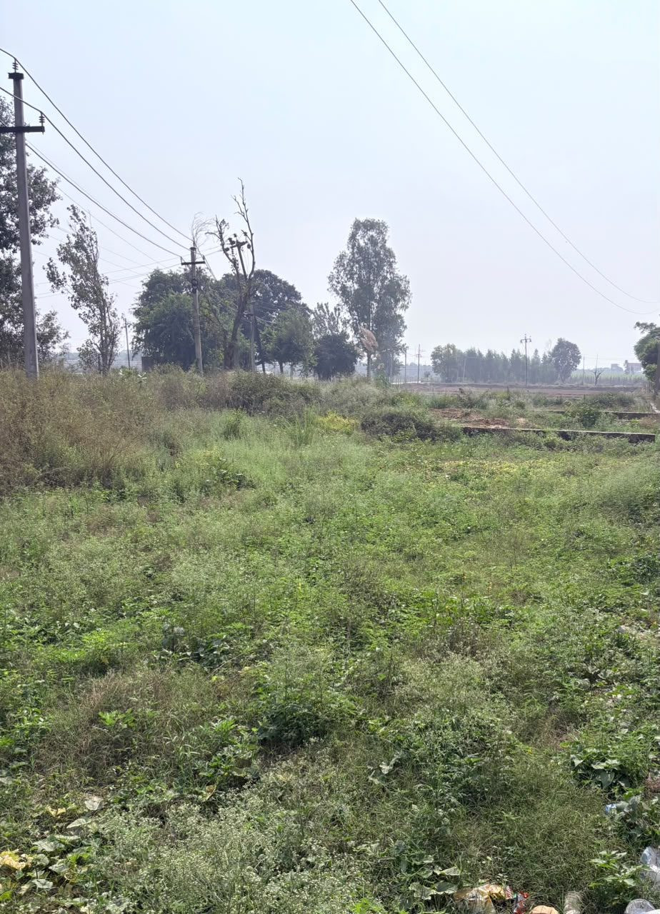 Farm land in Kuchesar Road Chaupala — hero photo