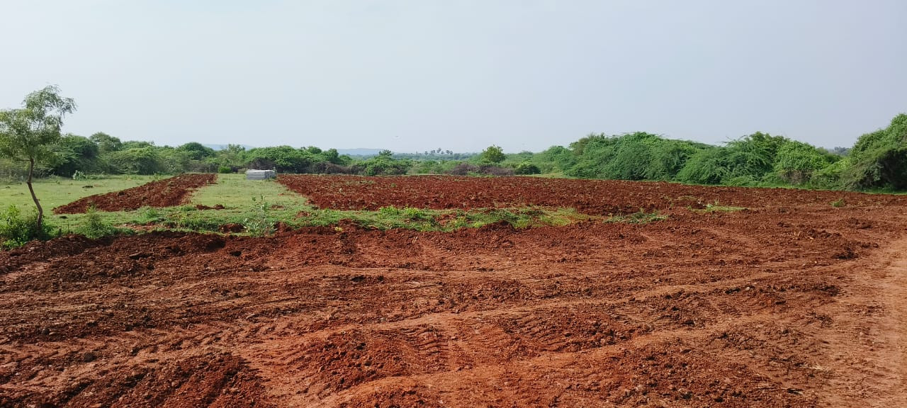 Farm land in Nellore — photo 7