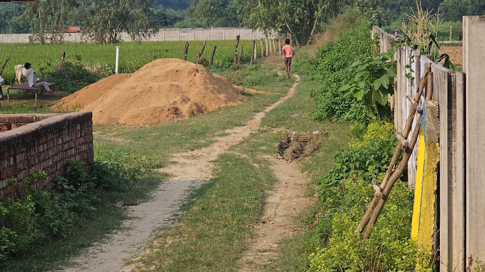 Working farm in Lucknow — hero photo
