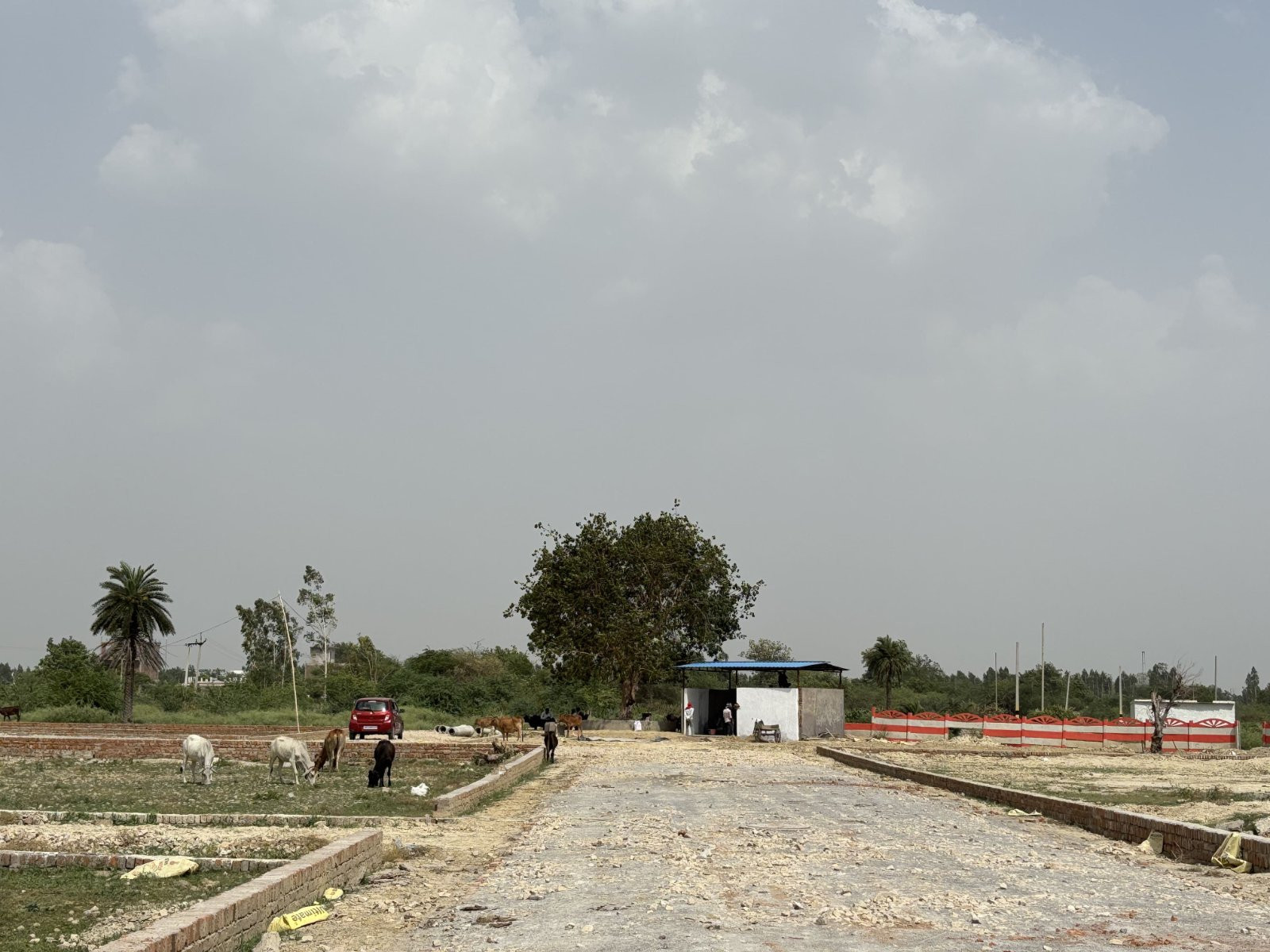 Main road