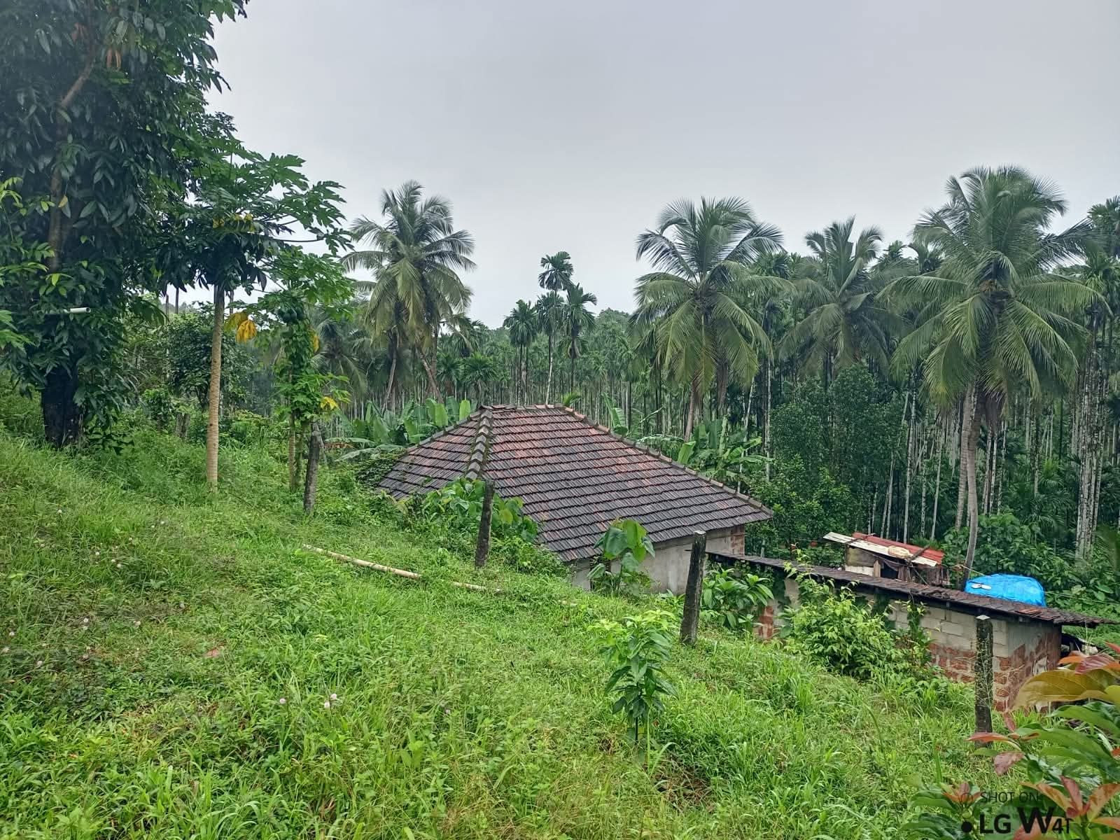 Mixed-use plot in Arasinakunte, Nelamangala Town — hero photo