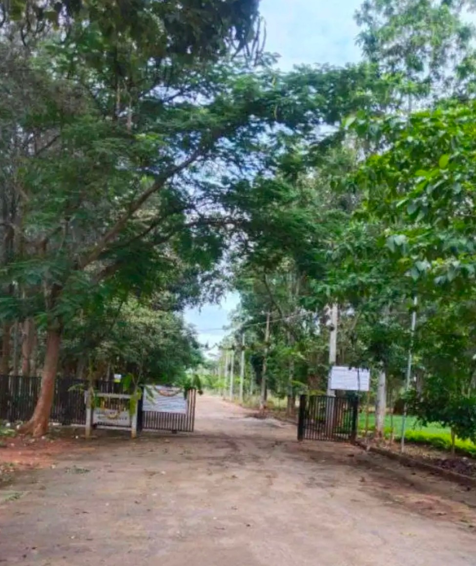 Residential plot in Devanahalli, Southegowdanahalli — photo 4