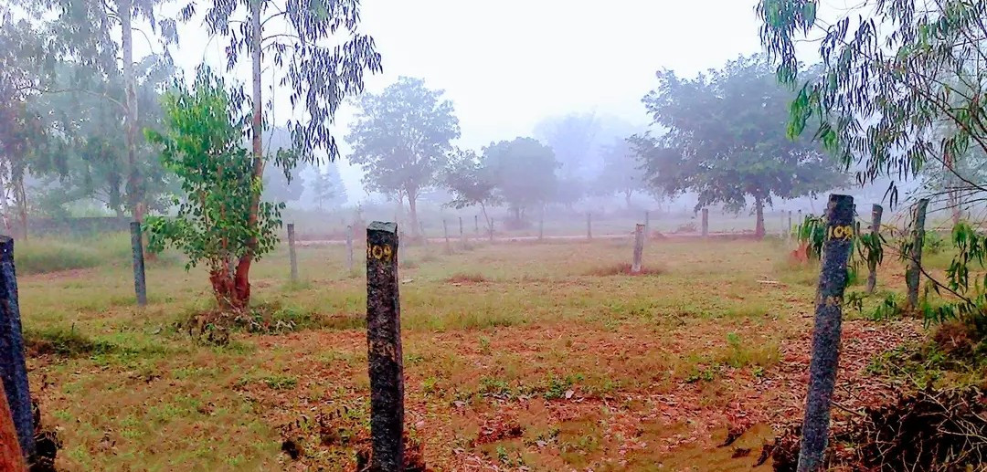 Residential plot in Devanahalli, Southegowdanahalli — photo 6