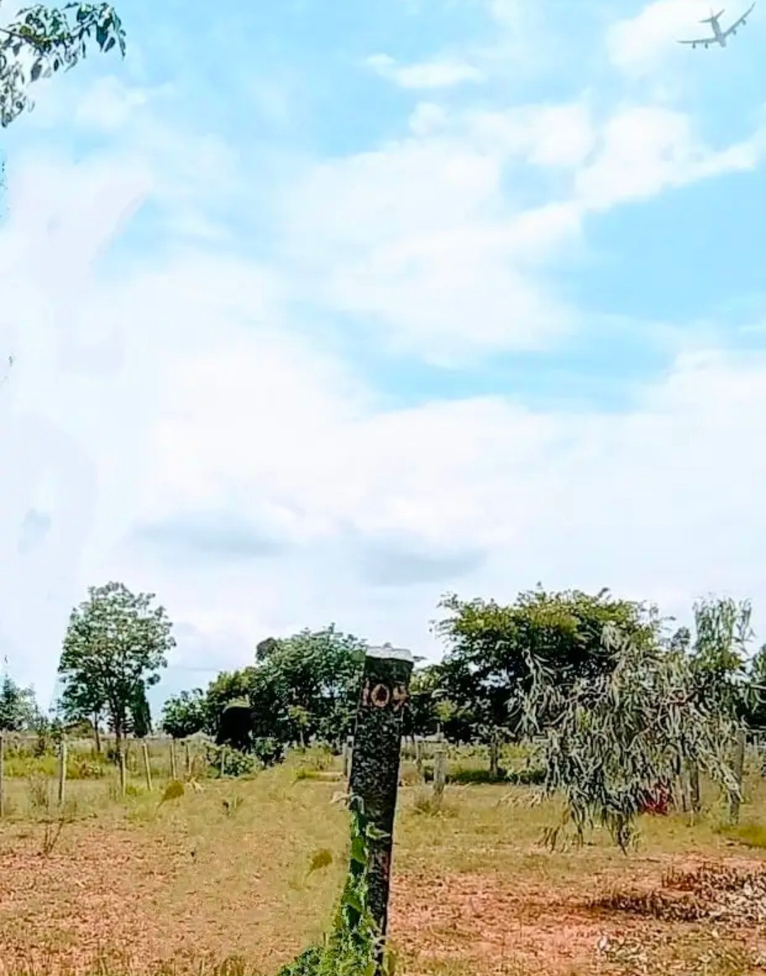 Residential plot in Devanahalli, Southegowdanahalli — photo 7