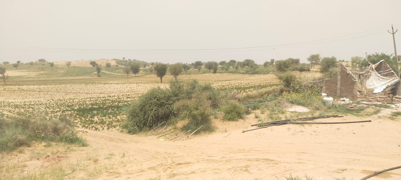 Residential plot for sale in Sector 81, Faridabad
